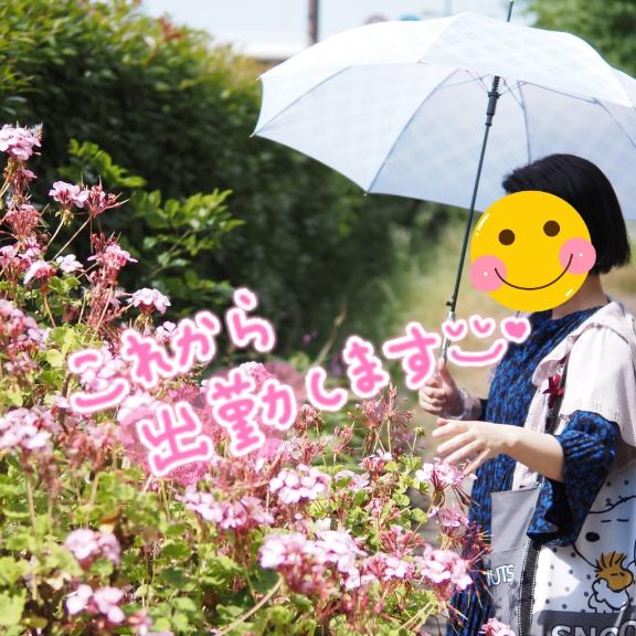 1枚目