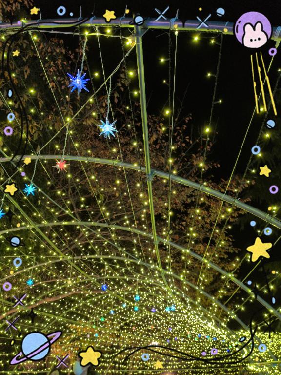 寒くなってきましたね(?･?o?･?;?)