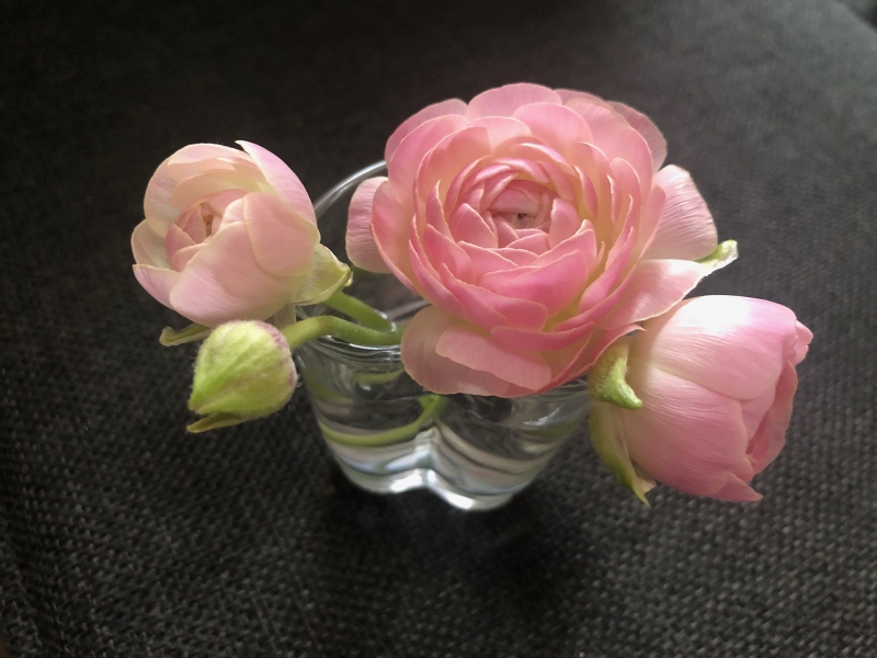 知らんけどの話