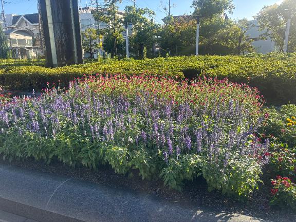 おはようございます