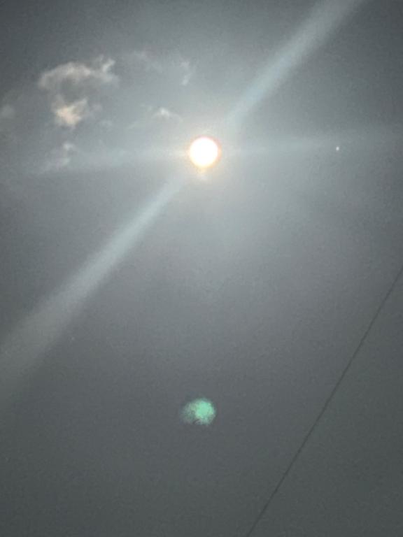 5月のお礼です?(*´?`*)????