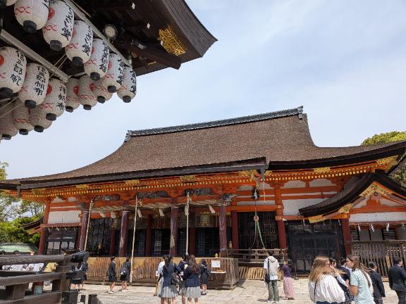昨日の雨激しかった?