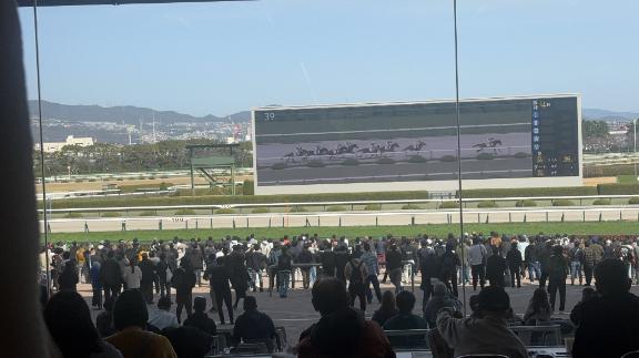 おはようございます