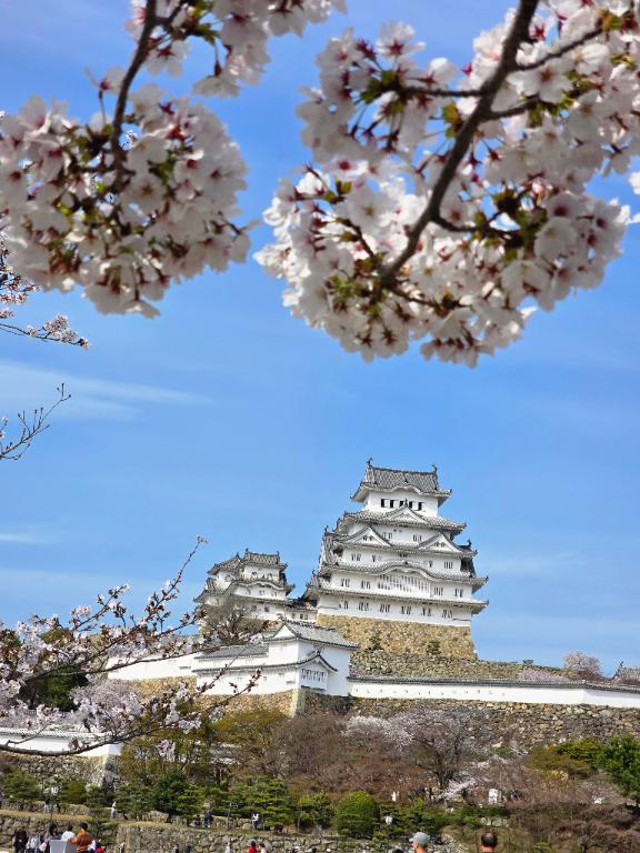 お花見へ行ってきました????