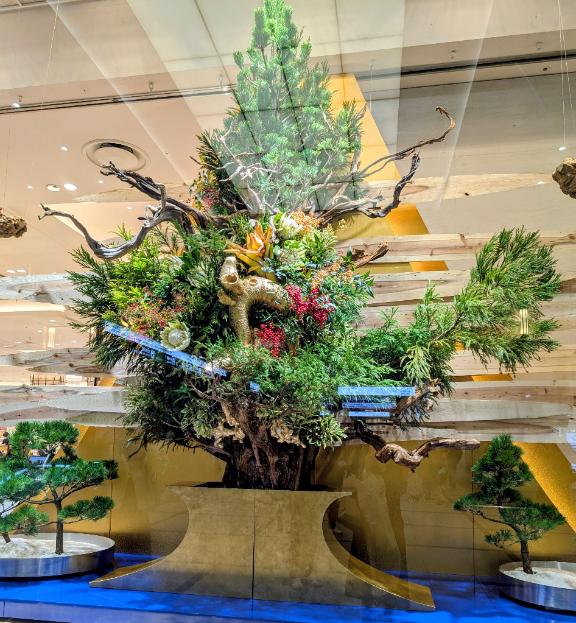 12月28日(日)のお礼