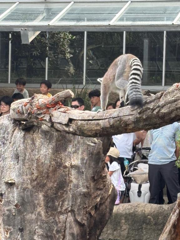 おはようございます