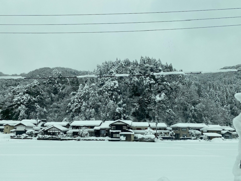 2月になりました。