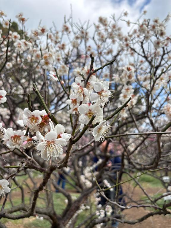 まだまだ風が冷たいけど