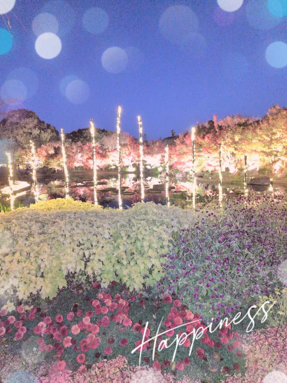 今日のお礼です(?????????)