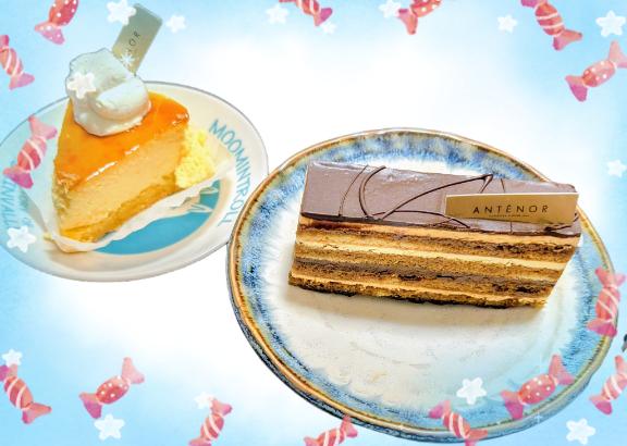 11月24日(月)のお礼