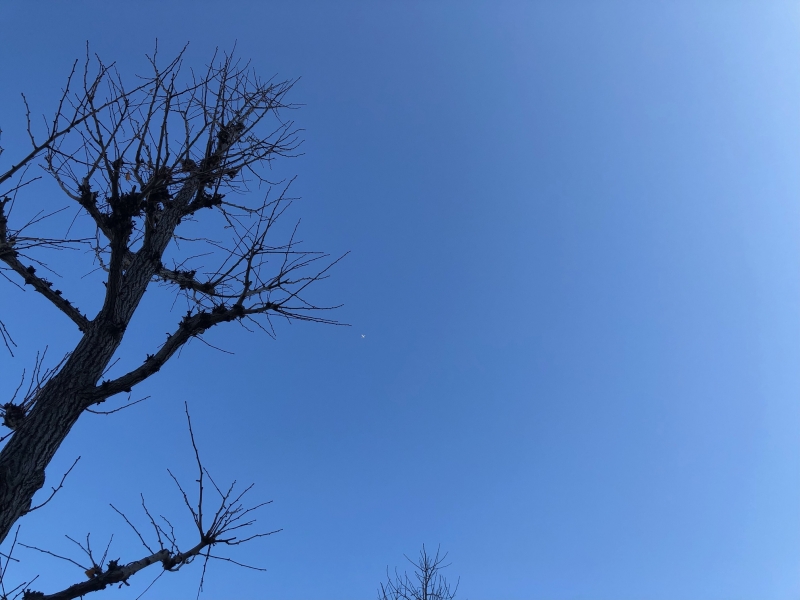 おはようございます。