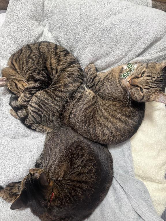 お疲れ様です??