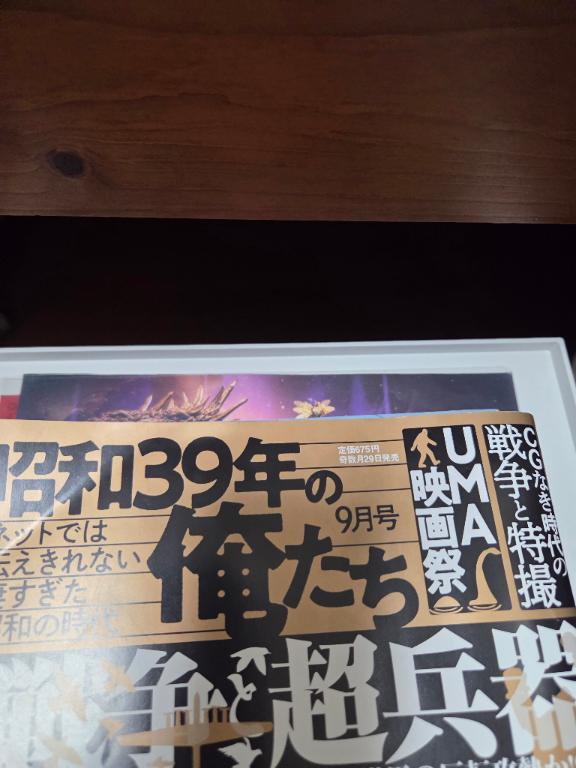 男性誌だけど