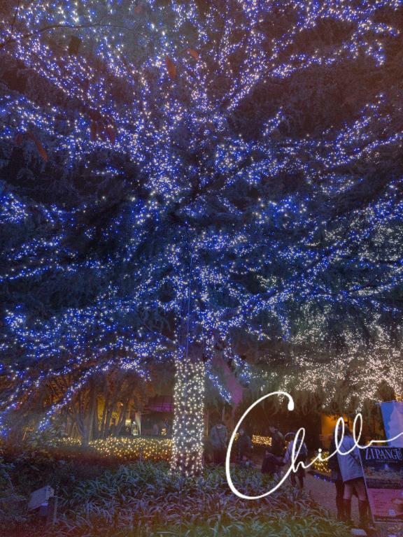 今日のお礼です(?????????)