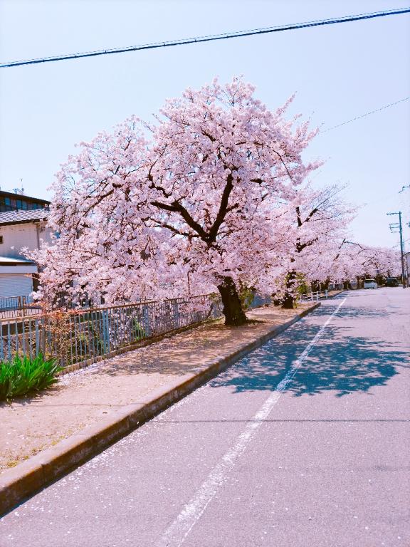 出勤しました(?^?^?)