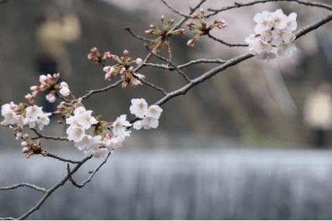 ごめんなさいm(_ _)m