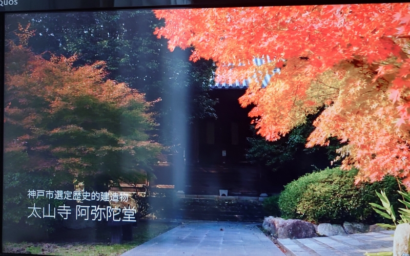1枚目