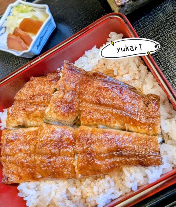 本日15時から?