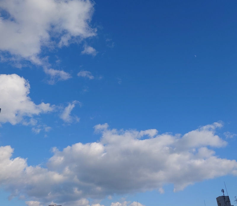 真冬日ですね。