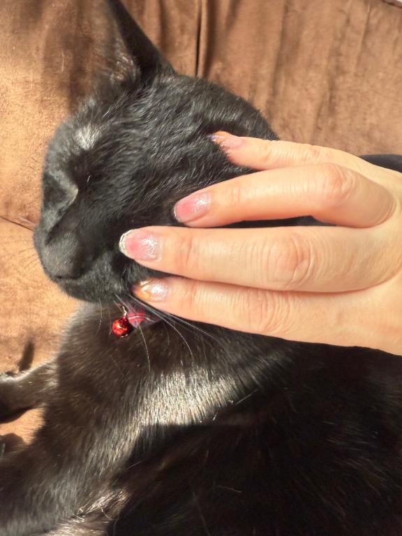 おはようございます?