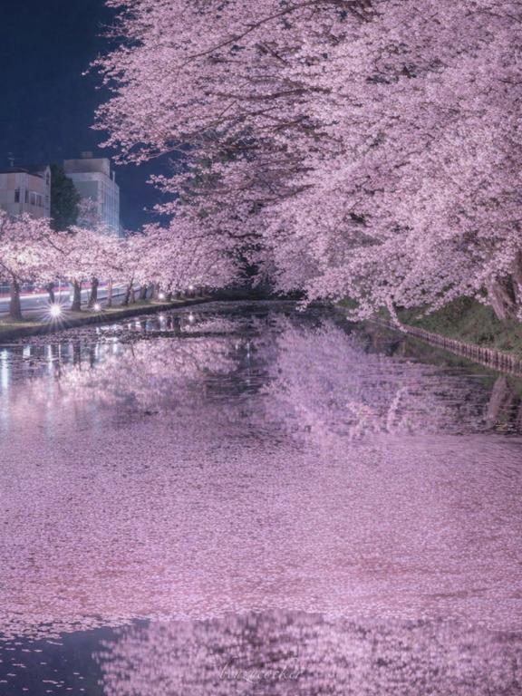 素敵な本との出逢い??