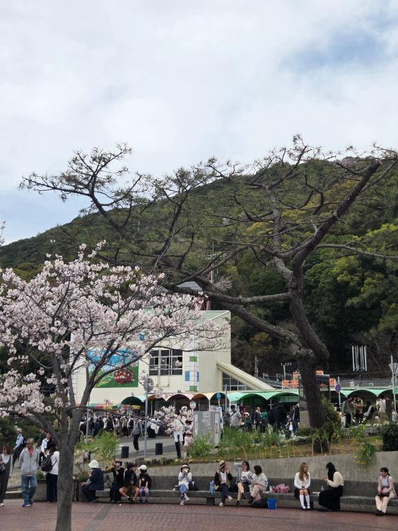 雨が続いたので