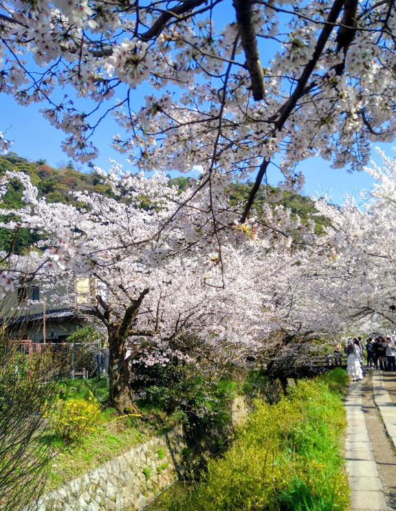 よろしくお願いします?