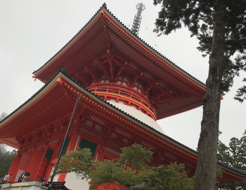 とうとう……