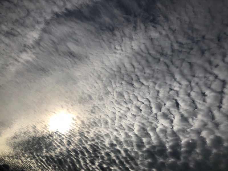 曇り空……