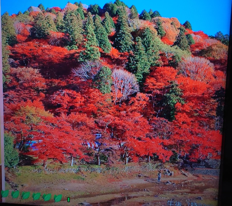 こんにちは。